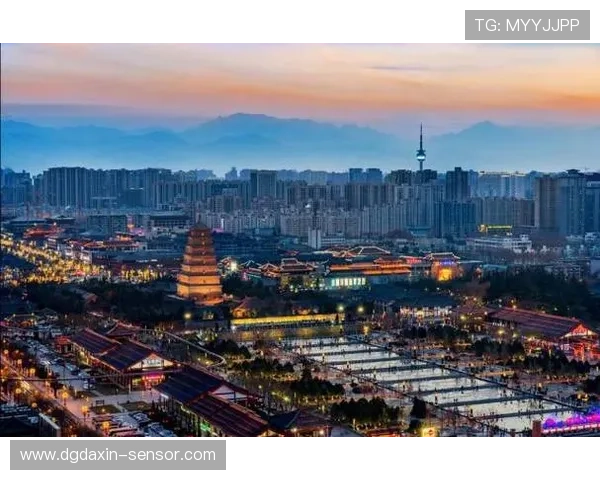 城市联赛分析：西安排球队实力与表现的全面评估与展望