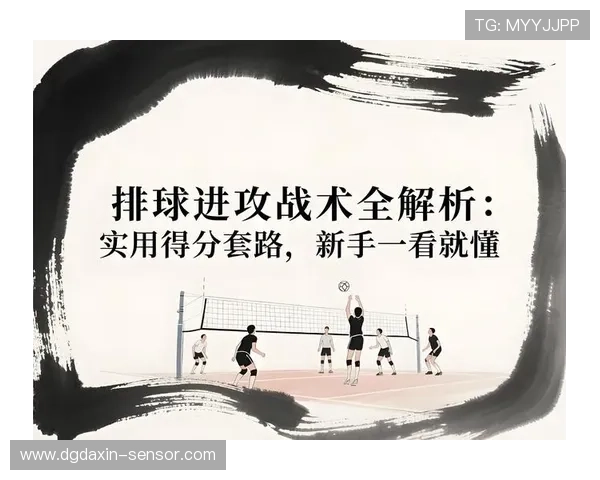 广州排球队快攻战术解析与技术特点深度剖析