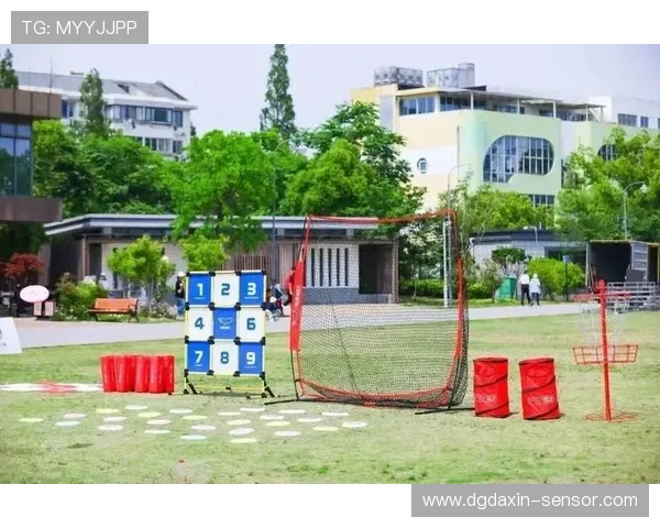 广州飞盘队的节奏与激情探索飞盘运动的魅力与团队精神