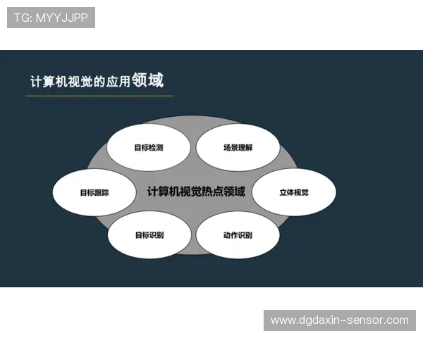 成都网球队反击战术解析与实战应用的深度剖析 成都网球队反击战术解析与实战应用的深度剖析